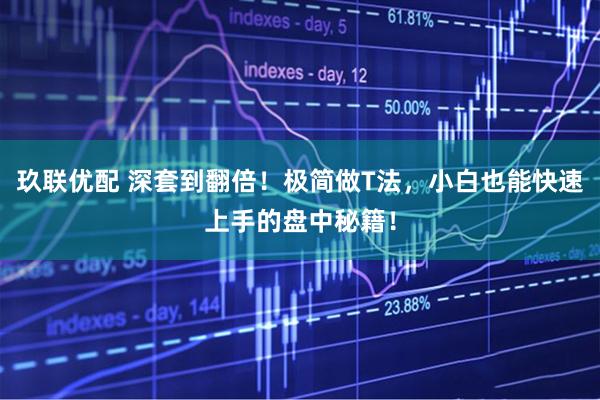 玖联优配 深套到翻倍！极简做T法，小白也能快速上手的盘中秘籍！