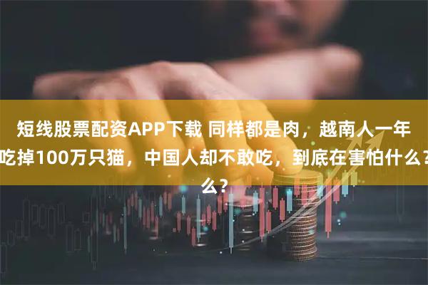 短线股票配资APP下载 同样都是肉，越南人一年吃掉100万只猫，中国人却不敢吃，到底在害怕什么？