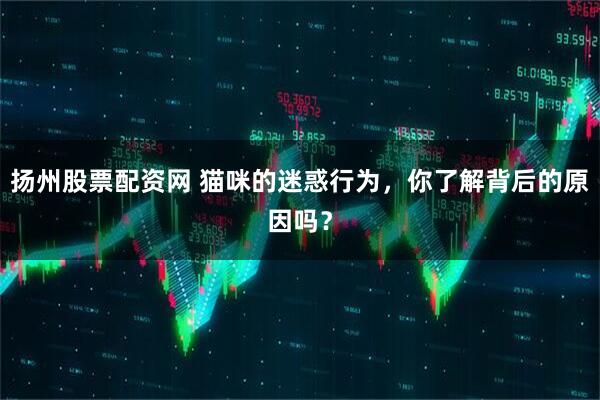 扬州股票配资网 猫咪的迷惑行为，你了解背后的原因吗？