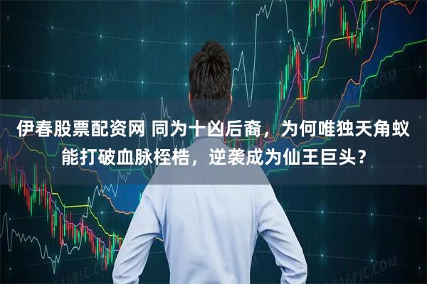 伊春股票配资网 同为十凶后裔，为何唯独天角蚁能打破血脉桎梏，逆袭成为仙王巨头？