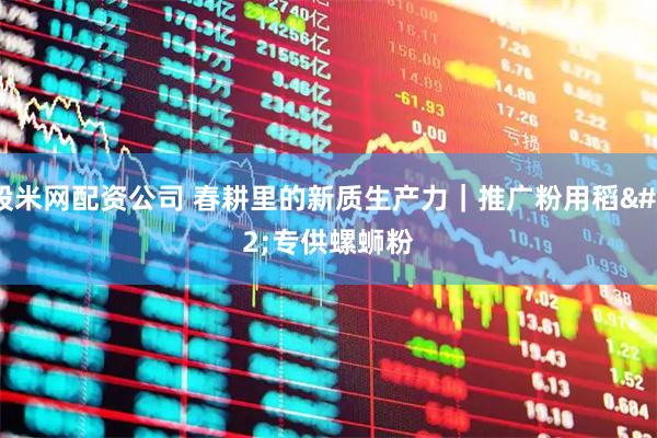 股米网配资公司 春耕里的新质生产力｜推广粉用稻 专供螺蛳粉
